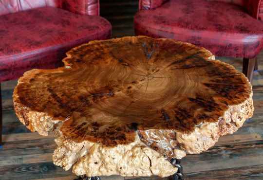 Live Edge Coffee Table / Elm Burl Wood / Chain Table Leg