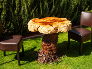Live Edge Coffee Table / Maple Burl Wood / Wooden Table Leg / Acrylic Varnish