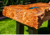 Live Edge Coffee Table / Elm Burl Wood / Acrylic Varnish