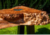 Live Edge Coffee Table / Elm Burl Wood / Acrylic Varnish