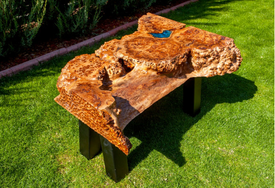 Live Edge Coffee Table / Elm Burl Wood / Acrylic Varnish