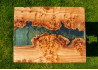 Epoxy Coffee Table / Elm Burl Wood